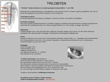 TRILOBITEN  Falsters Stenklub